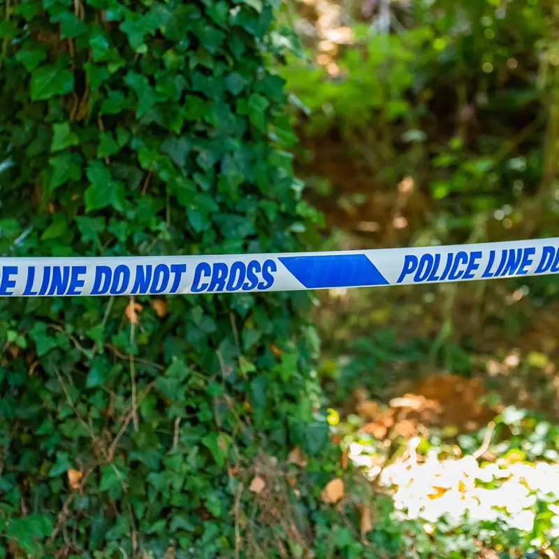 Blue 'POLICE LINE DO NOT CROSS' tape cordoning off a wooded area.